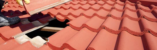 compare Fir Tree roof repair quotes