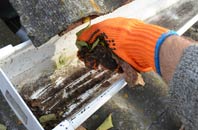 rated Fir Tree gutter cleaning companies